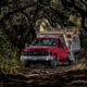 Illustration for article titled These Are The Insane Trucks Texans Use To Hunt Birds